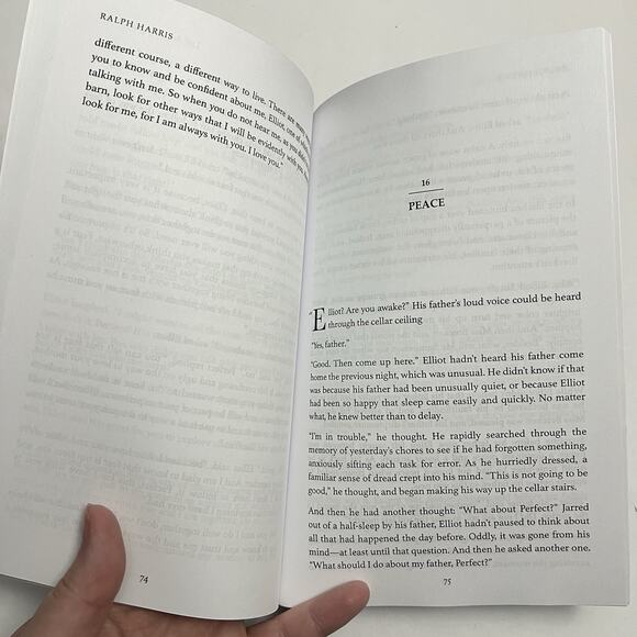 Life According to Perfect The Greatest Story Never Imagined by Ralph Harris - Picture 5 of 7